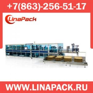 Групповая упаковка в картон методом оборачивания (wrap around)