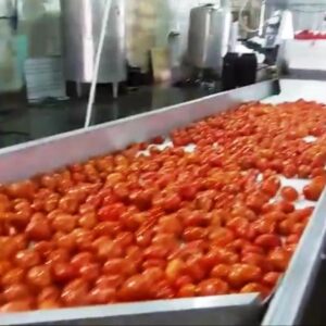 Линия консервирования огурцов и томатов